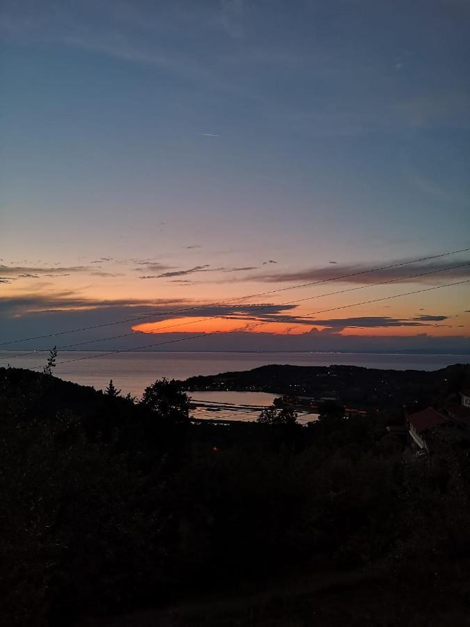 Forrest Apartment Portorož Kültér fotó
