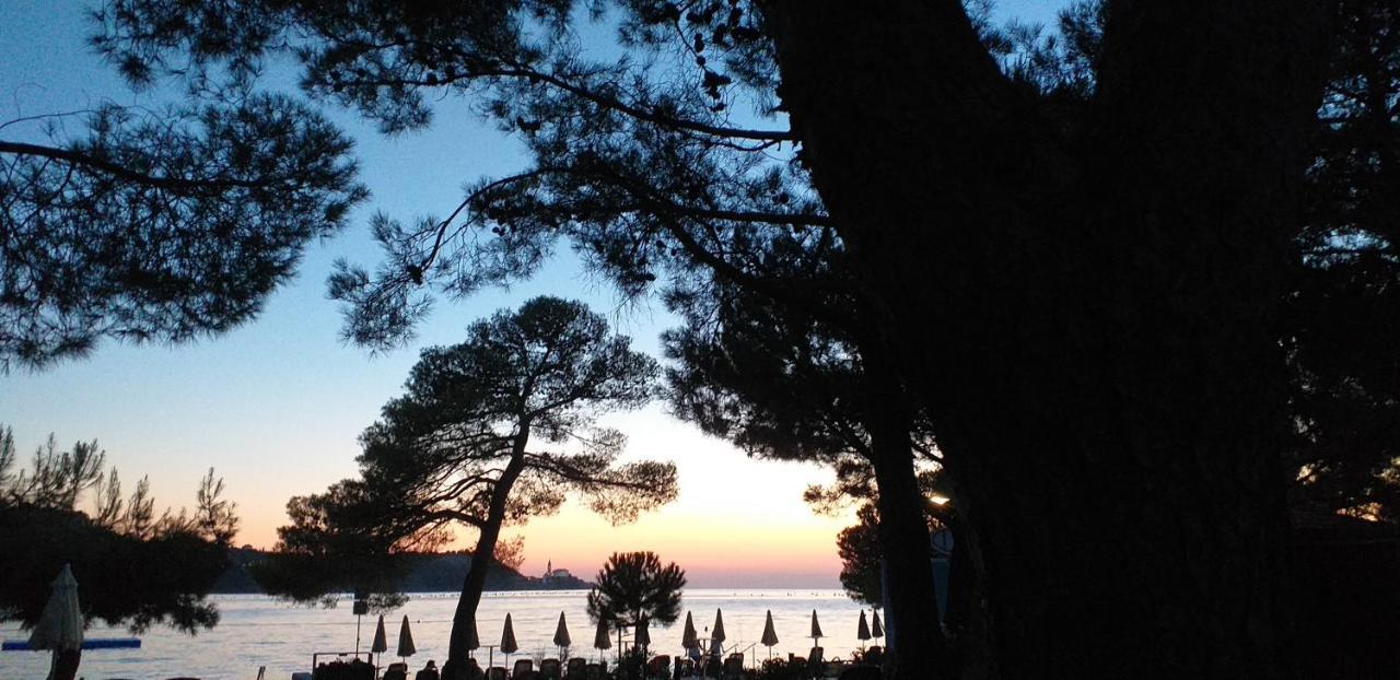 Forrest Apartment Portorož Kültér fotó